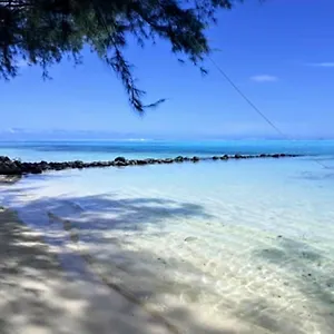 Moorea - Local Spirit 6 , Hauru Polynésie française